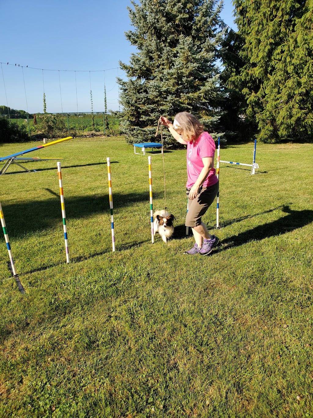 ClassPup Animal Training and Behaviour | 7971 Collison Side Rd, Harrow, ON N0R 1G0, Canada | Phone: (519) 736-4221