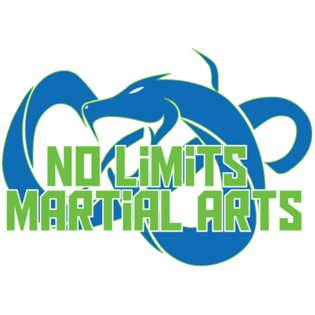 No Limits Martial Arts Oakville | 1545 Cornwall Rd #46, Oakville, ON L6J 0B2, Canada | Phone: (877) 432-7538