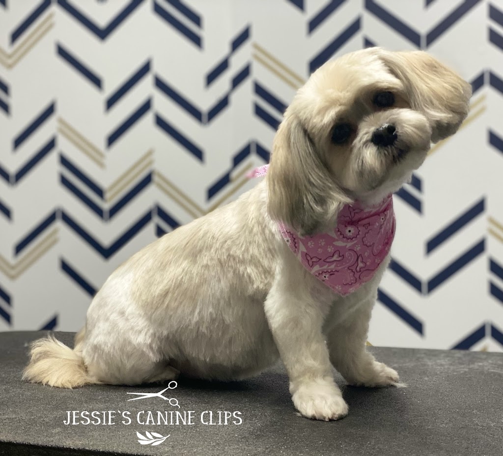 Jessies Canine Clips | point of interest | 80 Woodland Dr, Midland, ON L4R 4E1, Canada | 7055431835 OR +1 705-543-1835