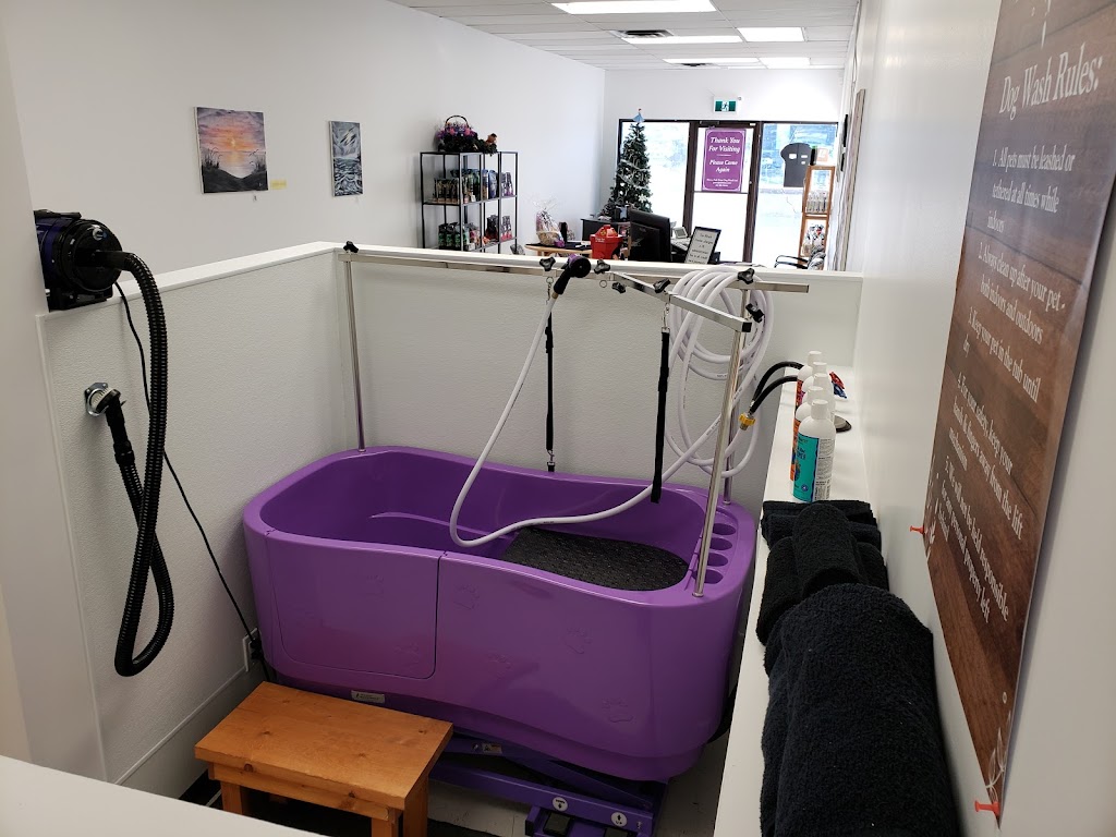 Paws 4 Tub Time Dog Wash Ltd. | 12717 50 St NW, Edmonton, AB T5A 4L8, Canada | Phone: (587) 881-8000