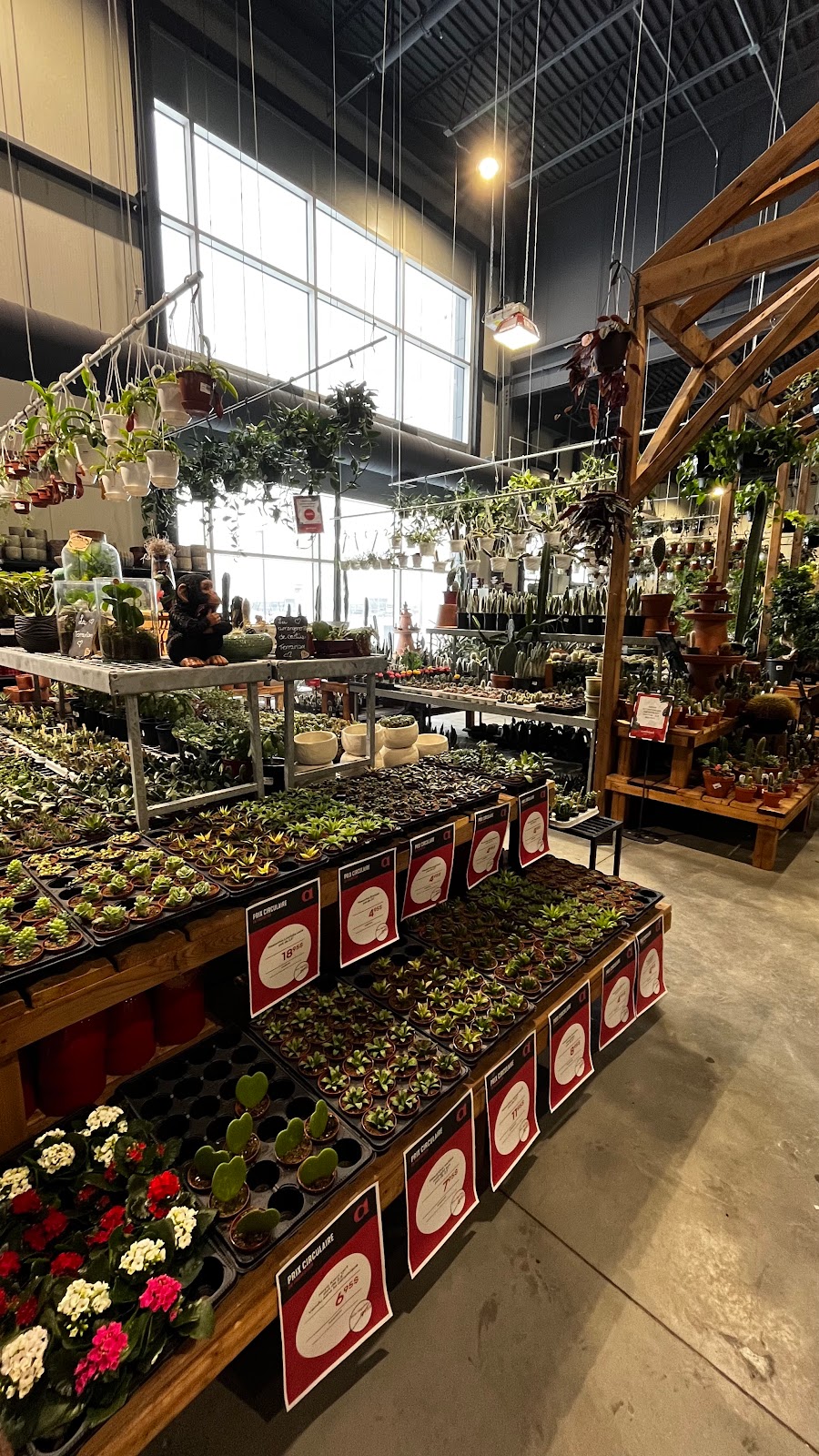 archipel | 8100 Bd Cousineau, Saint-Hubert, QC J3Z 0G8, Canada | Phone: (450) 878-3366