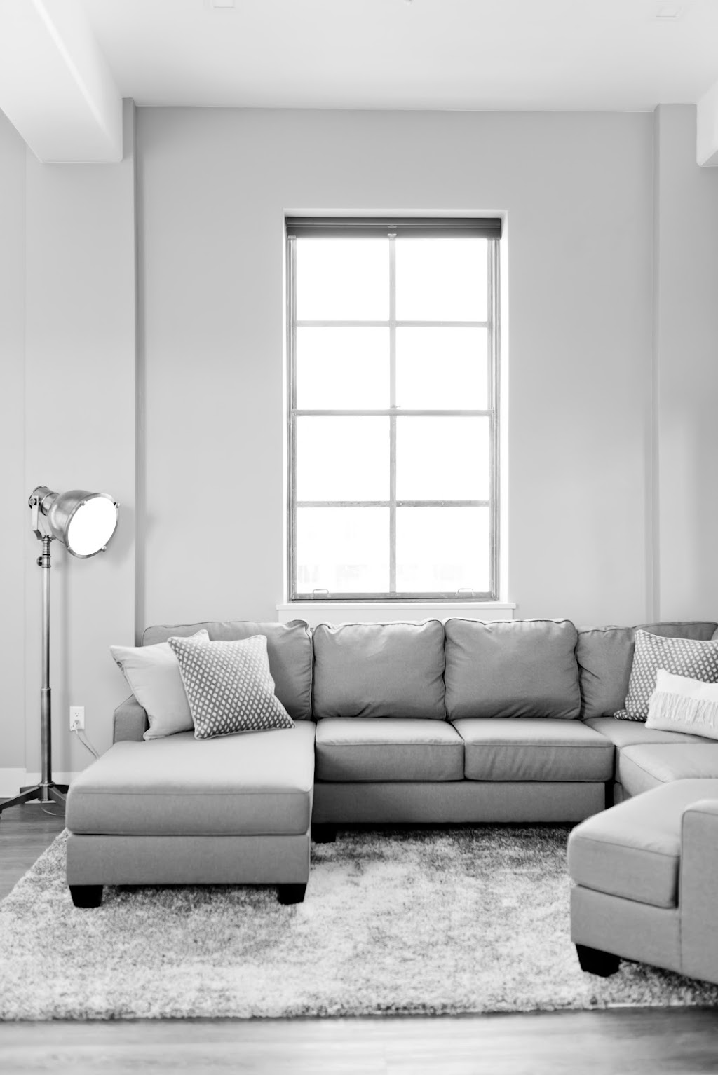 Knights of Cleaning - Coquitlam Carpet Cleaners | 682 MacIntosh St, Coquitlam, BC V3J 4Y6, Canada | Phone: (604) 349-4743