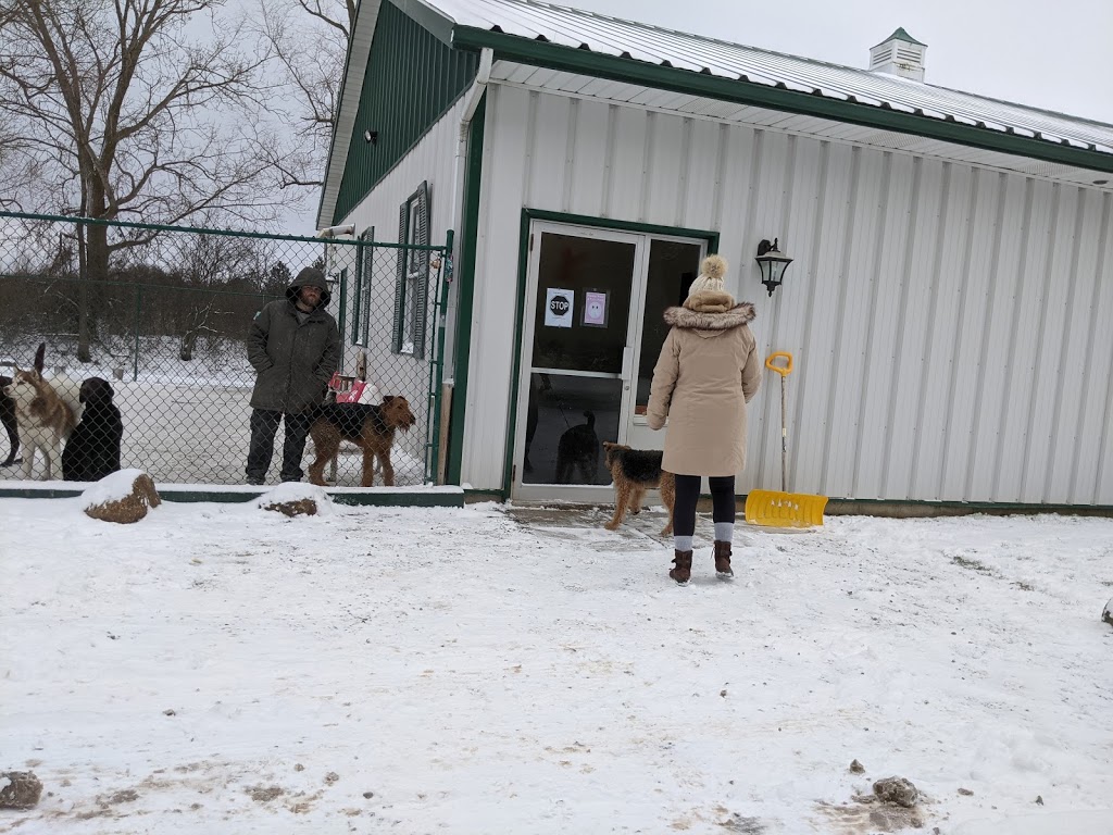 Fetch Me Later | 212 Foss Rd, Fenwick, ON L0S 1C0, Canada | Phone: (905) 892-3754