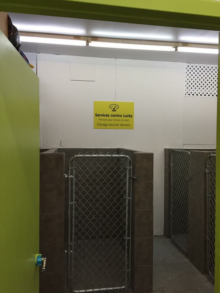 Service Canins Lucky | 3830 Chem. Du Bon Air, Sainte-Julienne, QC J0K 2T0, Canada | Phone: (514) 795-8945