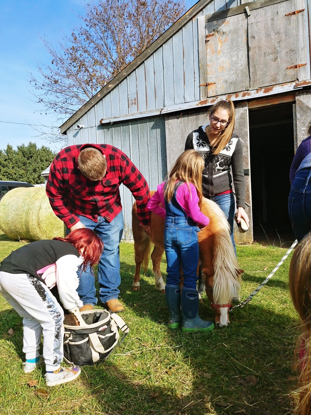 Placidity Acres Farm | 425376 Substation Rd, Burgessville, ON N0J 1C0, Canada | Phone: (613) 340-8178