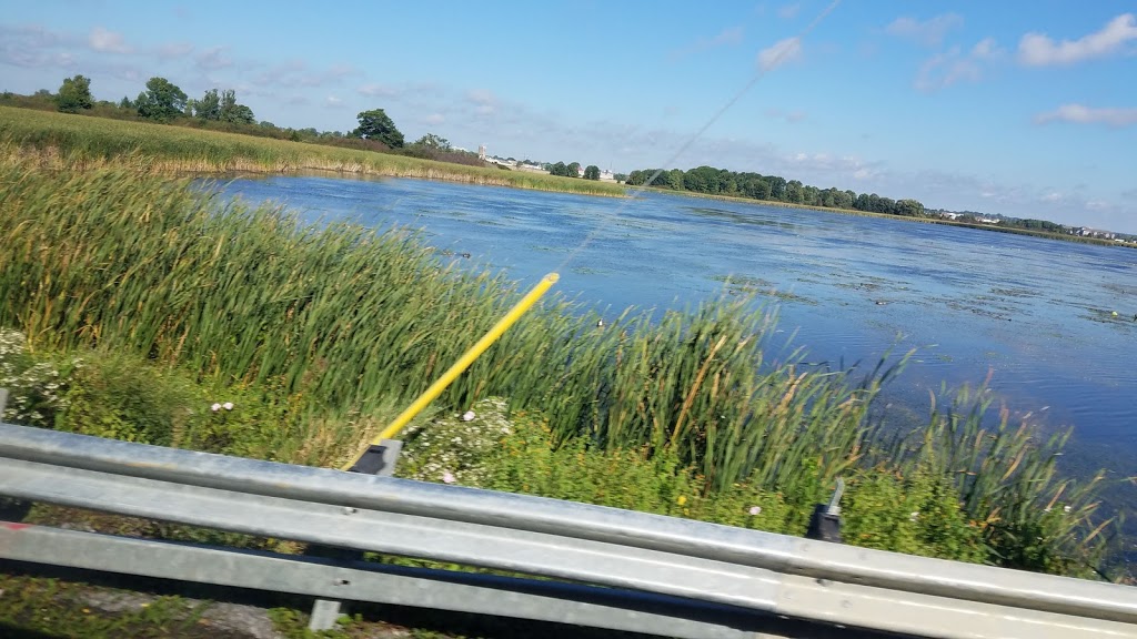 Marshlands Conservation Area | 1641 Perth Rd, 1214 Trailhead Pl, Glenburnie, ON K0H 1S0, Canada | Phone: (613) 546-4228