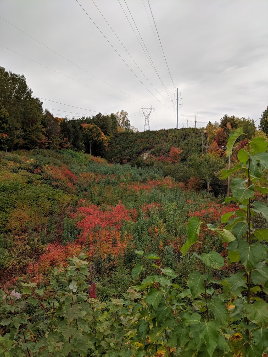 Parc de Marseille | Rue de Marseille, Trois-Rivières, QC G8Y 4C1, Canada