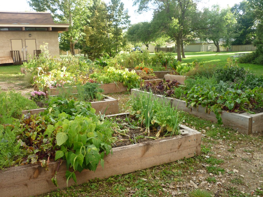 Rio Terrace Community Garden | 15108 76 Ave NW, Edmonton, AB T5R 2Z9, Canada | Phone: (780) 487-0211