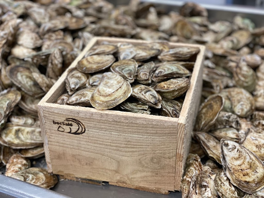 Huître Aquador Oyster Inc. | 130 Vautour Rd, Aldouane, NB E4W 5L9, Canada | Phone: (506) 523-5905
