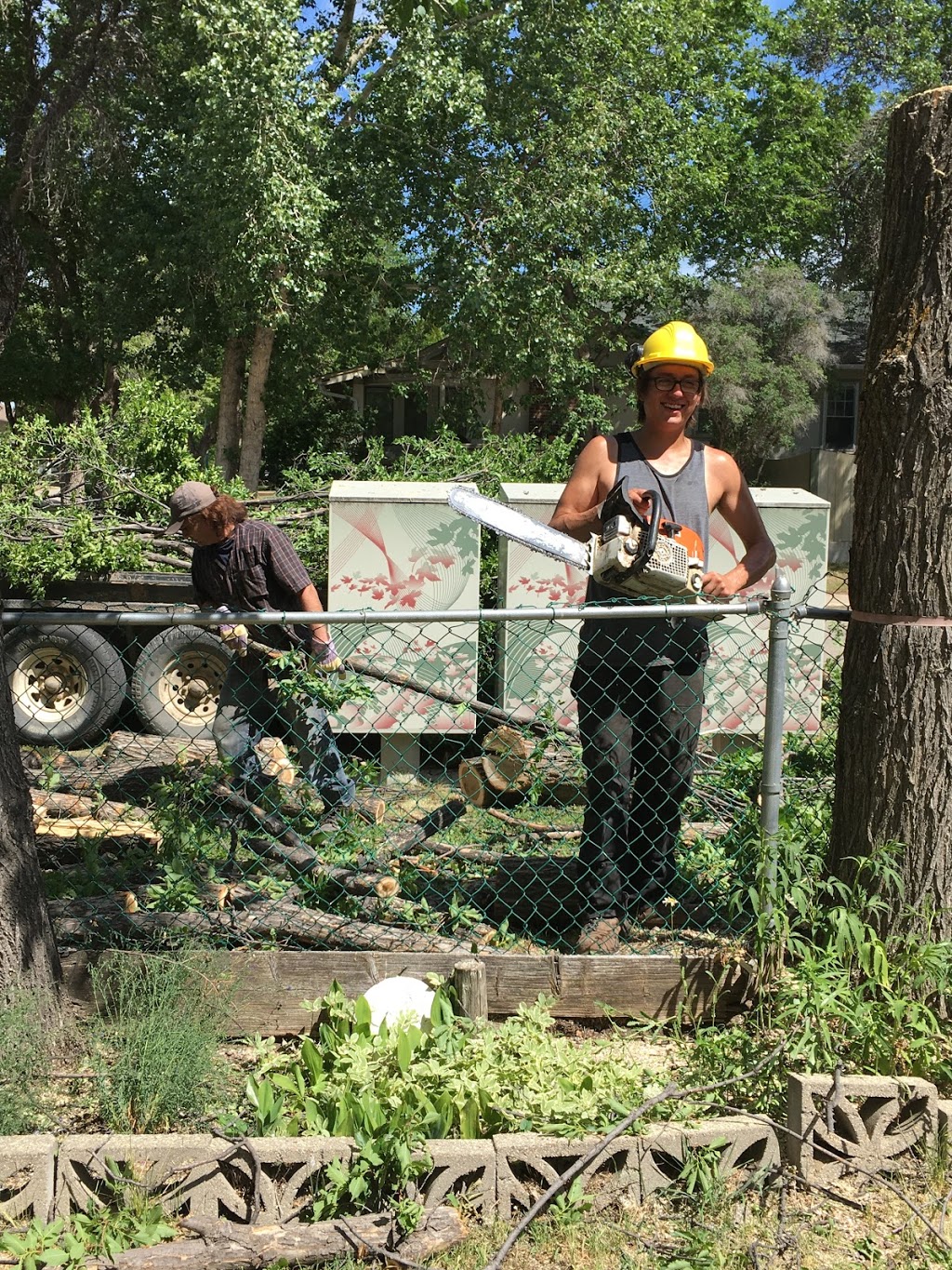 A-1 Tree Service | 1009 Carleton St, Moose Jaw, SK S6H 3A3, Canada | Phone: (306) 692-6701