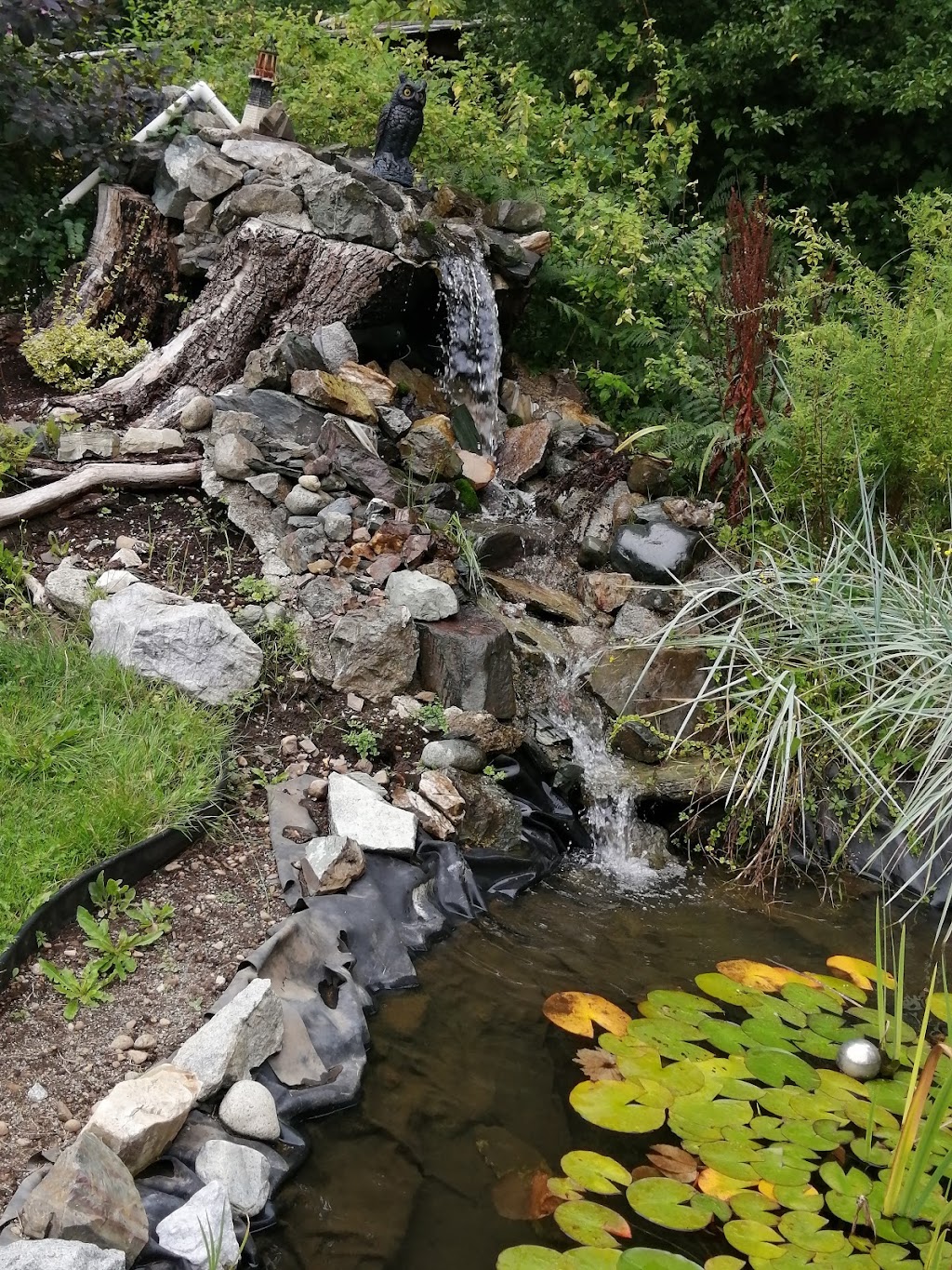 West Coast Firewood | 5670 Hector Rd, Port Alberni, BC V9Y 9E8, Canada | Phone: (250) 735-0522