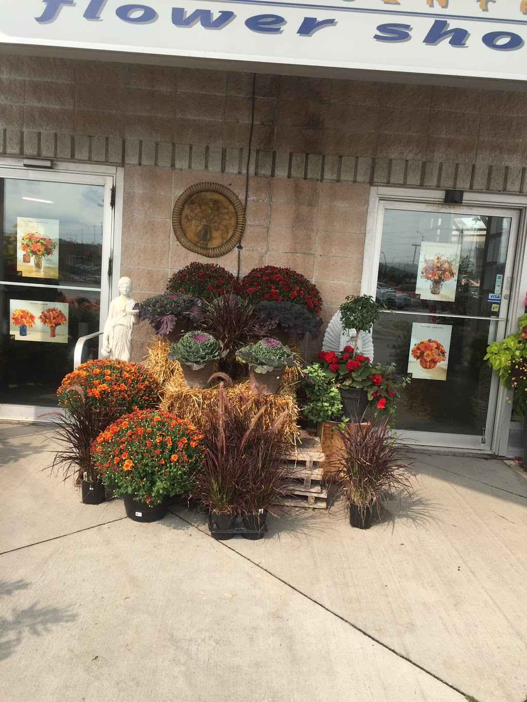 Imperial Flower Shop | 2460 Queen St E, Brampton, ON L6S 5X9, Canada | Phone: (905) 791-0692