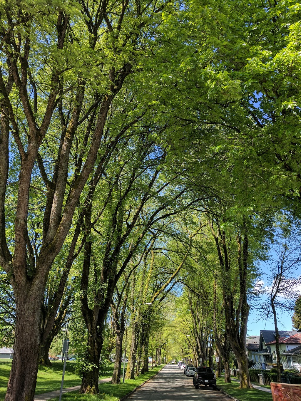 Braemer Park | 895 W 27th Ave, Vancouver, BC V5Z 2G8, Canada | Phone: (604) 873-7000