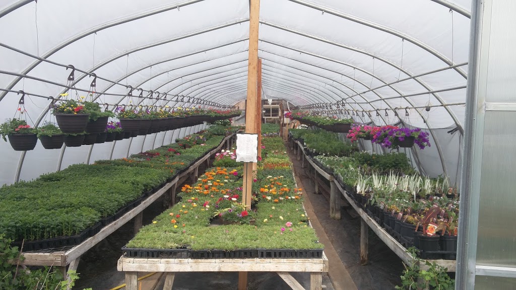 Grumpas Organic Greenhouses | 7871 Concession Rd 3, Lisle, ON L0M 1M0, Canada | Phone: (705) 424-9920
