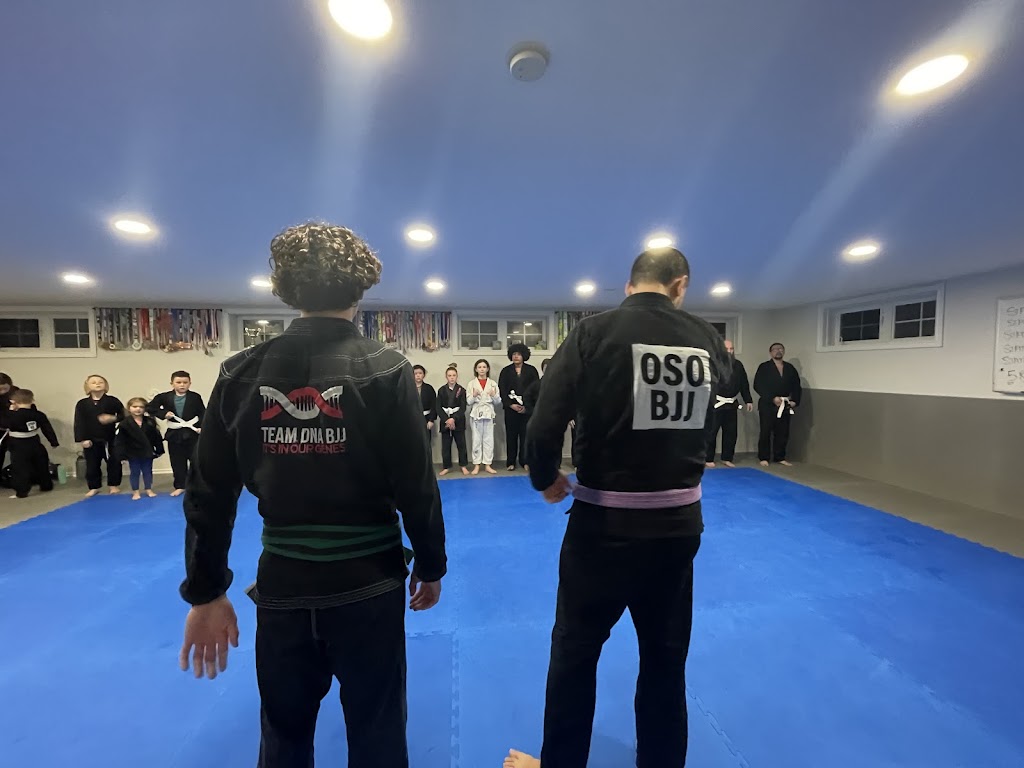 Kawartha Lakes BJJ and Fitness | 11 Cross Creek Rd, Little Britain, ON K0M 2C0, Canada | Phone: (416) 402-3199