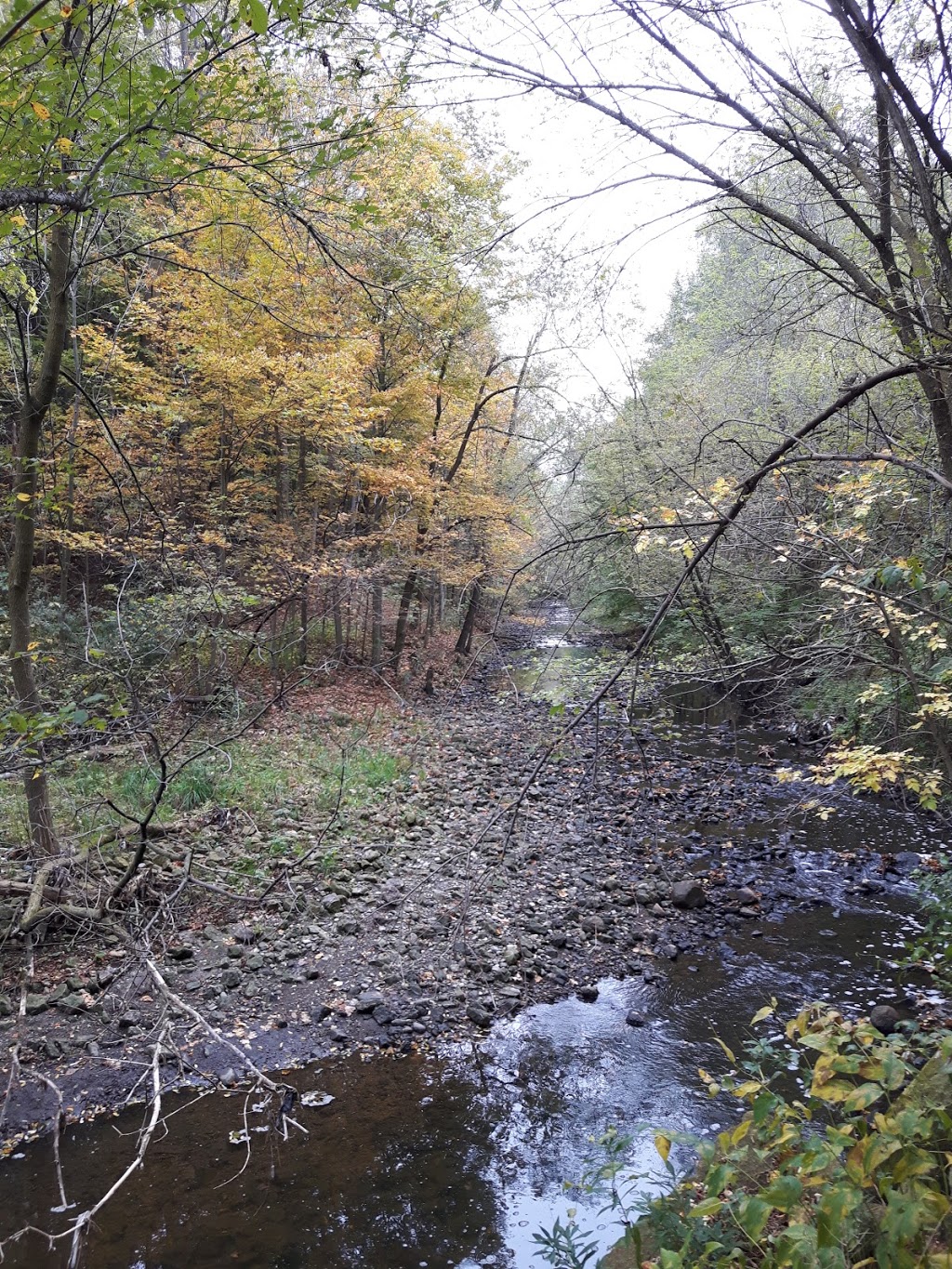 Prairie Drive Park | 70 Prairie Dr, Scarborough, ON M1L 1L5, Canada | Phone: (416) 338-4386