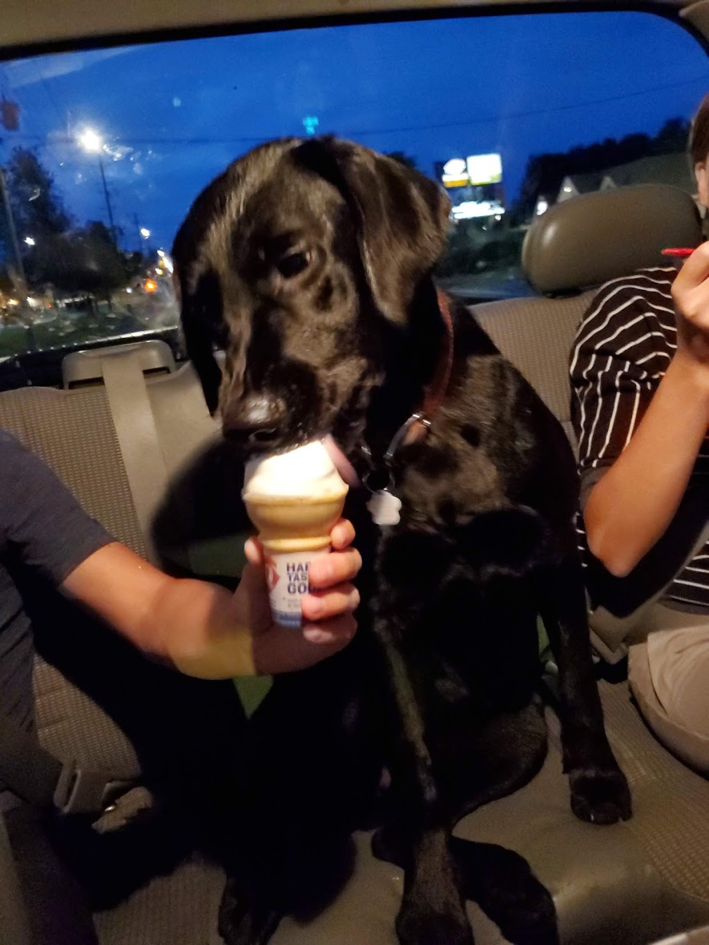 Dairy Queen | 828 Chemong Rd, Peterborough, ON K9H 5Z7, Canada | Phone: (705) 745-3002