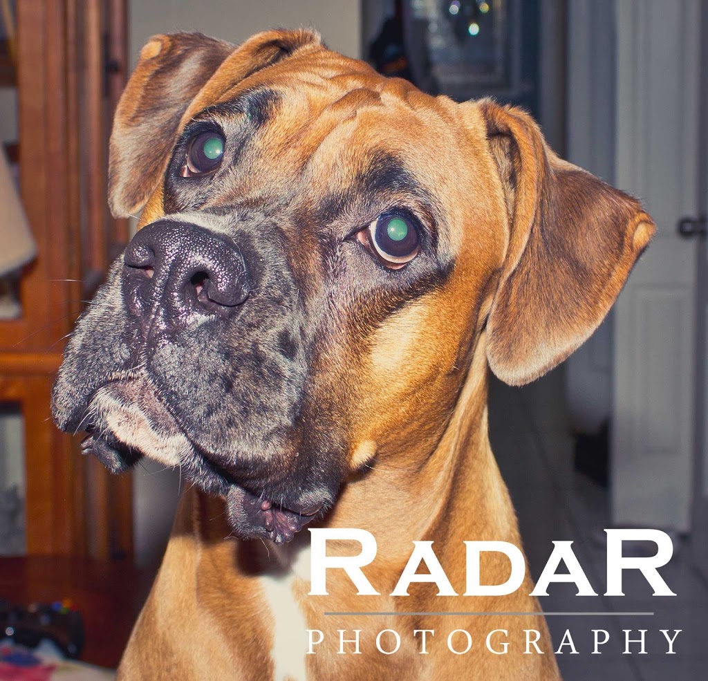 Radar Photography | 100 Quigley Rd Unit 25, Hamilton, ON L8K 6J1, Canada | Phone: (905) 578-1107