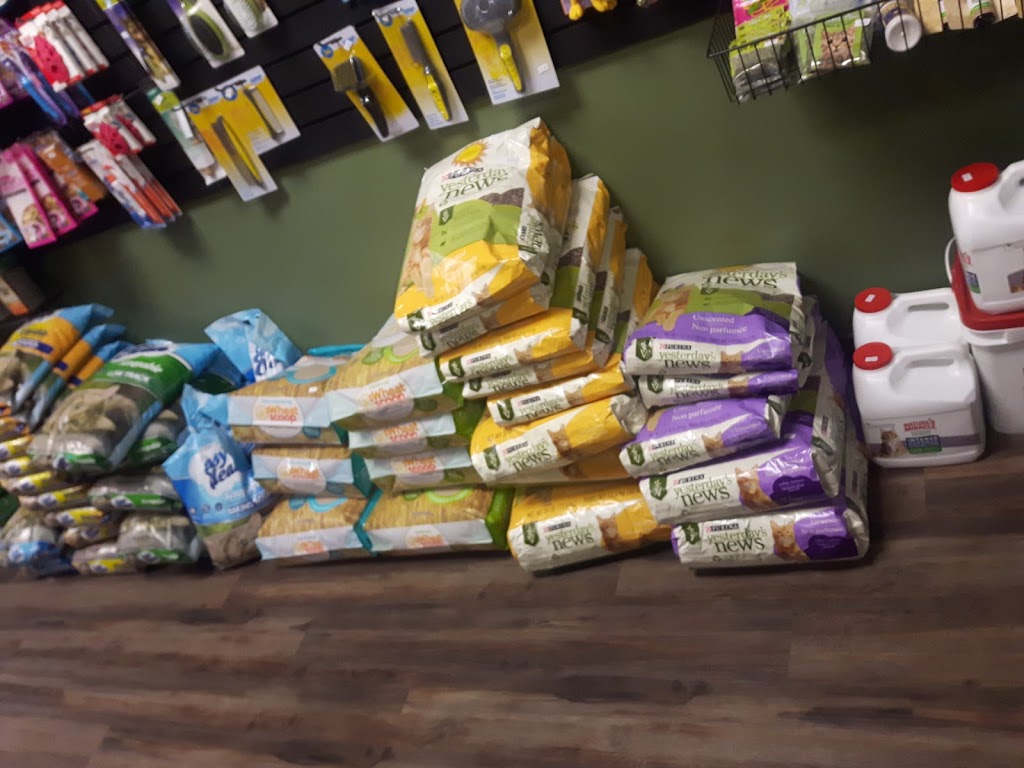 The Dog Dish & Friends | 1516 Fairfield Rd, Victoria, BC V8S 1G1, Canada | Phone: (250) 370-1124