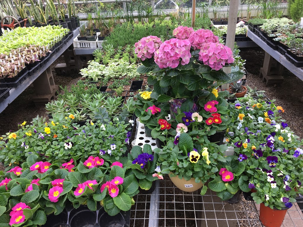 Sebringville Garden Centre | 137 Huron Rd, Stratford, ON N5A 6S6, Canada | Phone: (519) 393-6131