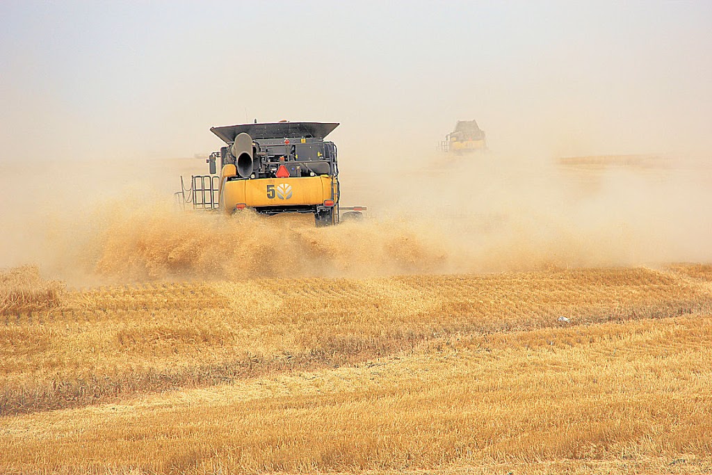 Delage Farms Ltd. | Indian Head, SK S0G 2K0, Canada | Phone: (306) 695-3959