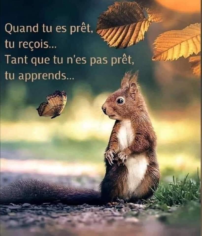 Catherine Davo, Coaching Daffaires, Formations Et Conférences | 375 Rue Martel, Saint-Marc-des-Carrières, QC G0A 4B0, Canada | Phone: (581) 996-9418