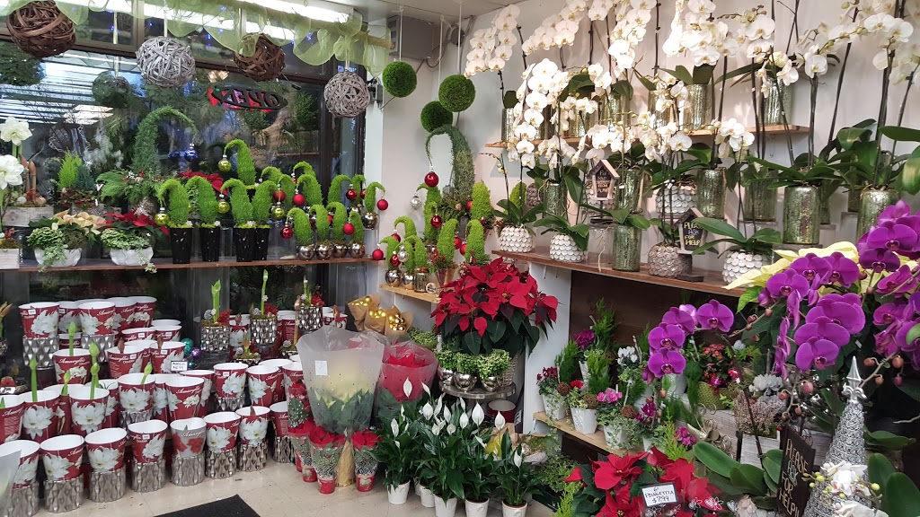 Forever Blooming | 1107 Lorne Park Rd, Mississauga, ON L5H 3A1, Canada | Phone: (905) 274-0866