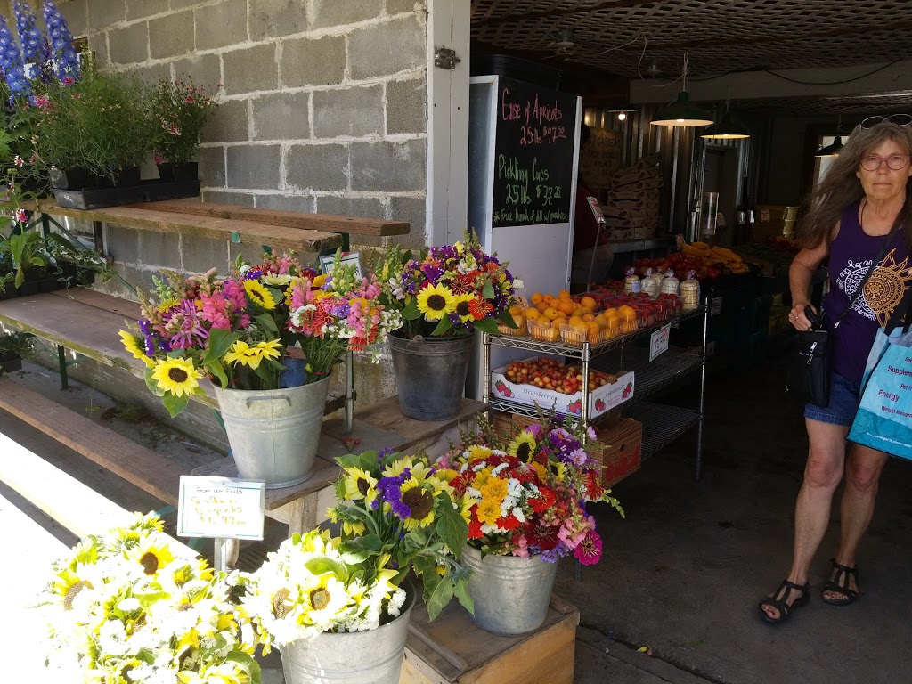 Joes Gardens | 3110 Taylor Ave, Bellingham, WA 98225, USA | Phone: (360) 671-7639