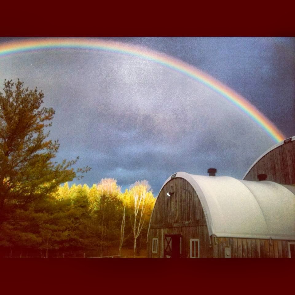 Allbright Equestrian Centre | 563 Allbright Rd, Uxbridge, ON L9P 1R4, Canada | Phone: (905) 556-0626