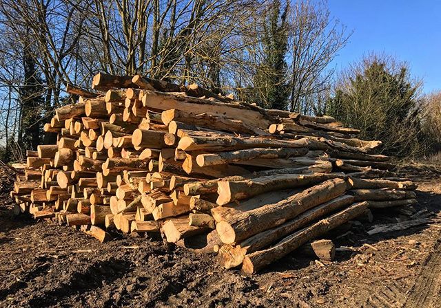 London Forest Products | 11 Ridge Rd, Bancroft, ON K0L 1C0, Canada | Phone: (613) 332-1135