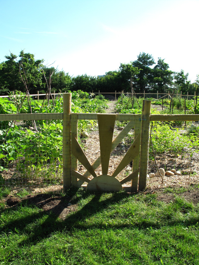 Guelph Street Community Garden | 250 Guelph St, Kitchener, ON N2H, Canada | Phone: (289) 928-7533