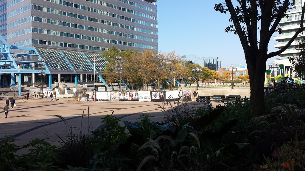 Albert Campbell Square | 150 Borough Dr, Scarborough, ON M1P 0B1, Canada | Phone: (416) 338-4386