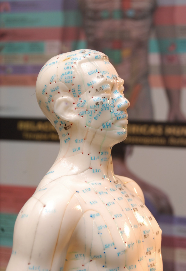Acupuncture Rachel Cavanagh - Blainville | 49 Rue Émilien Marcoux, Blainville, QC J7C 0B4, Canada | Phone: (514) 823-1361