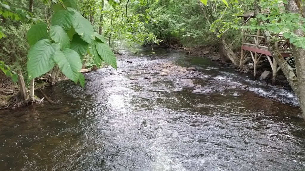 Camp des Débrouillards | 76 Chemin de Barkmere, Arundel, QC J0T 1A0, Canada | Phone: (877) 749-2267