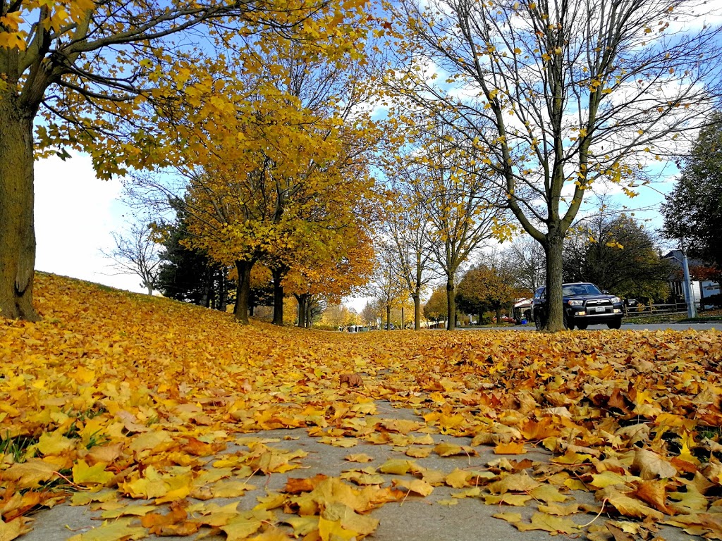 Richvale Athletic Park | Richmond Hill, ON L4C 5L8, Canada | Phone: (905) 771-8800