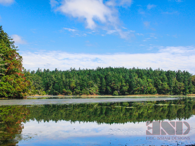 Eric Nsiah Designs | 1054 Whitney Ct, Victoria, BC V9C 0G9, Canada | Phone: (250) 889-0531