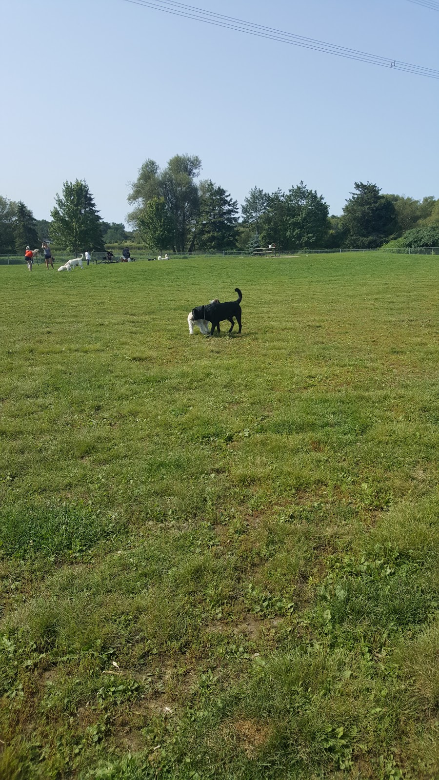 Bowmanville Off Leash Dog Park | Waterfront Trail, Courtice, ON L1E 2S6, Canada | Phone: (905) 623-6380