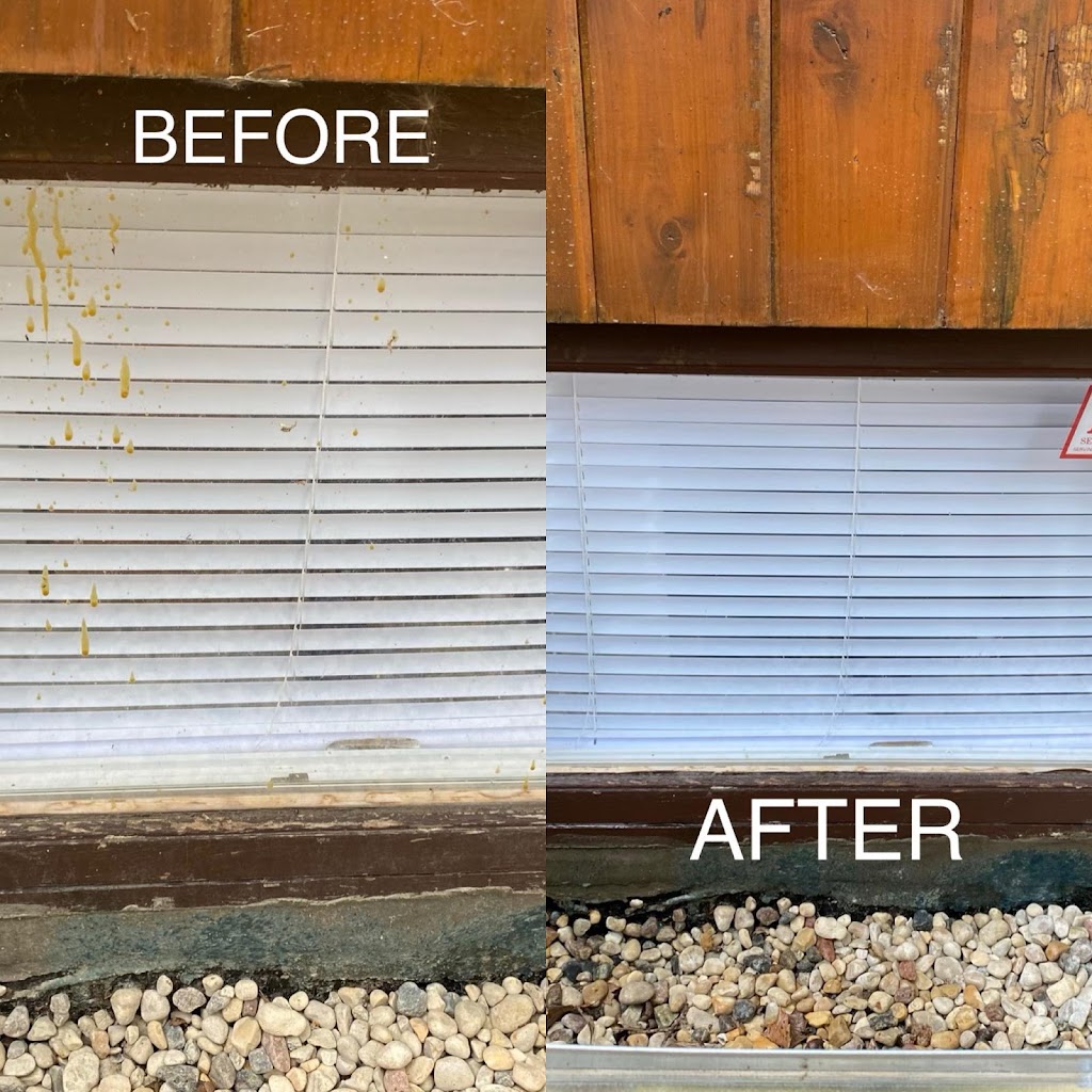 Squeaky Windows | 52 Algonquin Ave, Winnipeg, MB R2G 2H3, Canada | Phone: (204) 218-2018