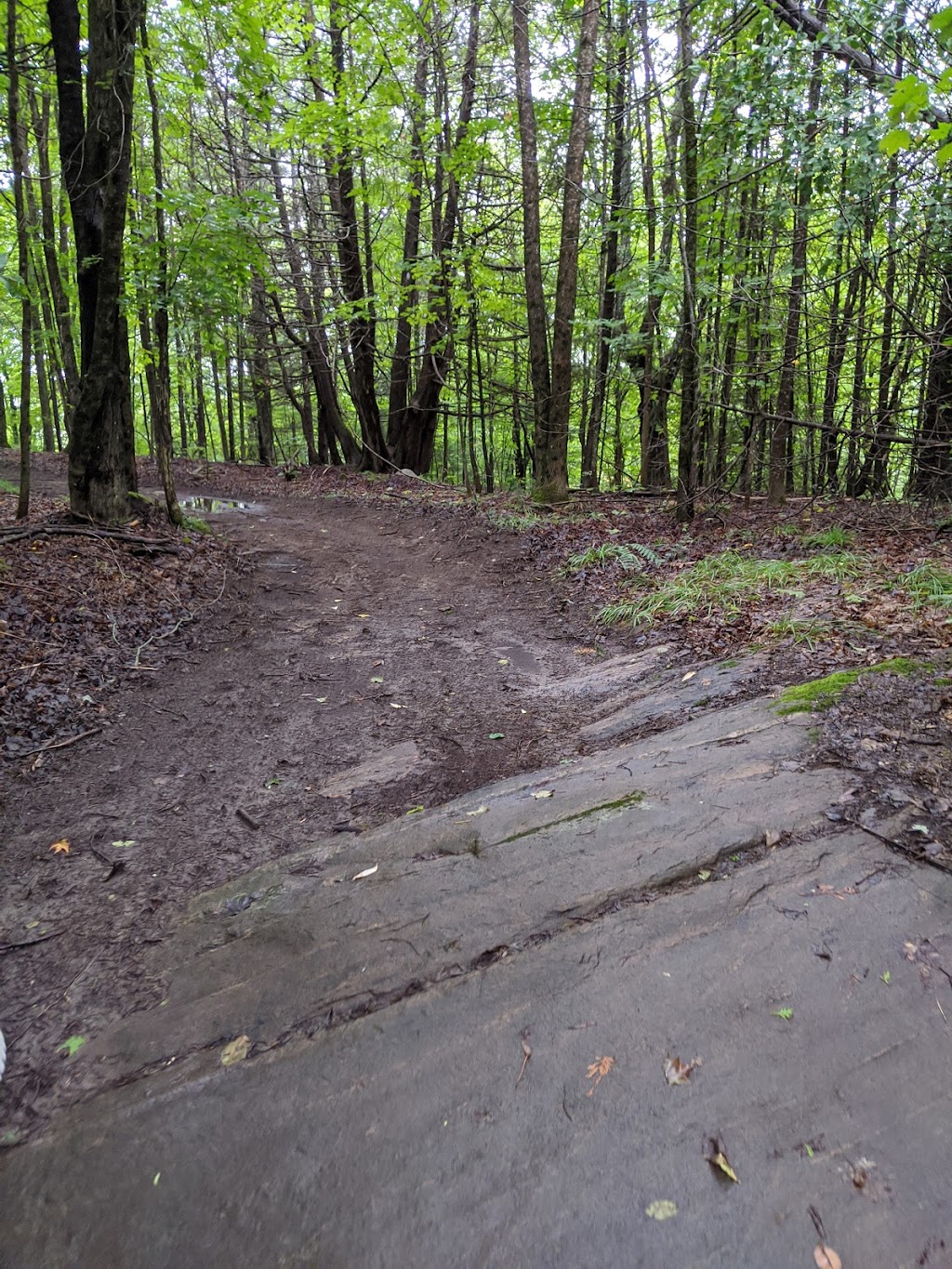 Moonlight Bay Tent & Trailer Park | 1071 Earles Rd, Wilberforce, ON K0L 3C0, Canada | Phone: (705) 448-1690