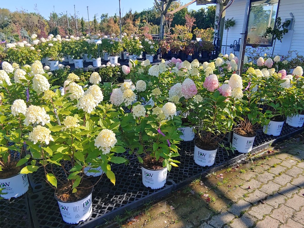 Green Valley Garden Centre | 2025 Talbot Rd, Kingsville, ON N9Y 2E4, Canada | Phone: (519) 326-2341