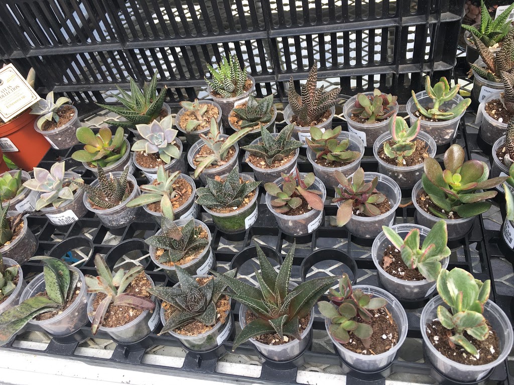 Azilda Greenhouses | 300 Carriere St, Azilda, ON P0M 1B0, Canada | Phone: (705) 983-5252