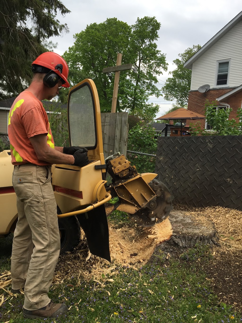 North Renfrew Tree Services Ltd | 11958 Round Lake Rd, Pembroke, ON K8A 6W8, Canada | Phone: (613) 732-5228