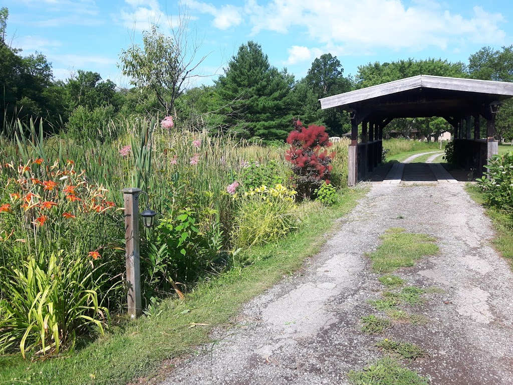 Windecker Woods Flower Farm | point of interest | 215 Windecker Rd, Cayuga, ON N0A 1E0, Canada | 9059731786 OR +1 905-973-1786