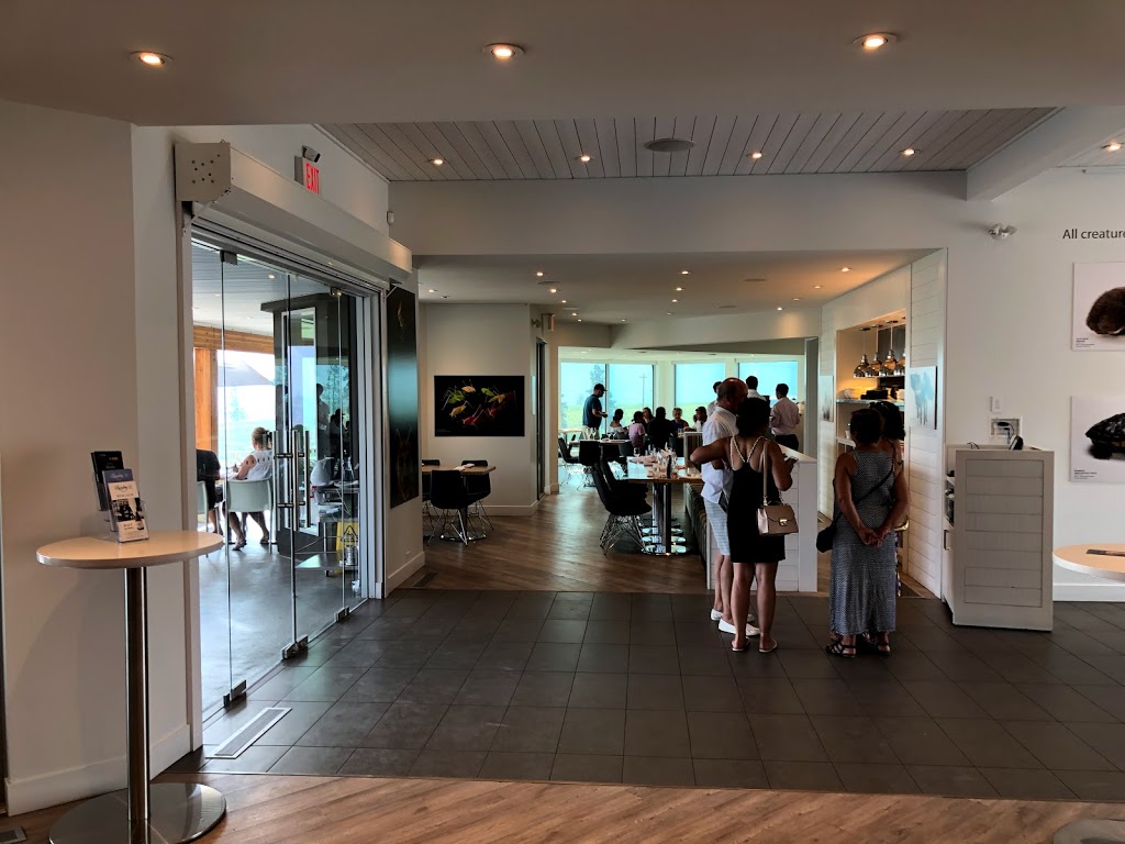 Liquidity Wines | 4720 Allendale Rd, Okanagan Falls, BC V0H 1R2, Canada | Phone: (778) 515-5500
