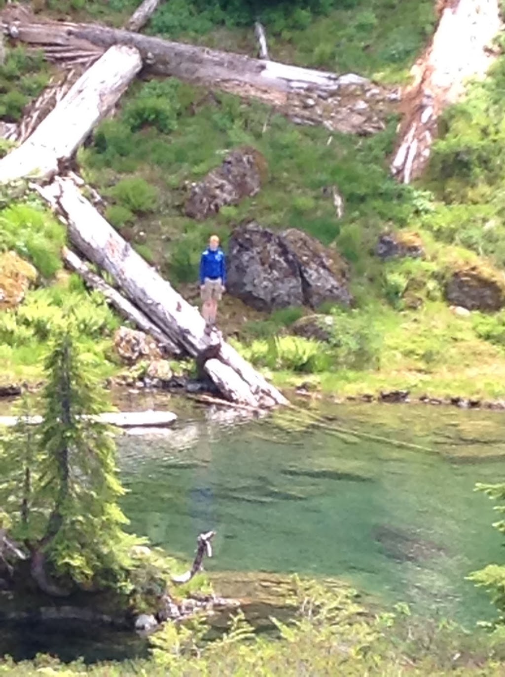 Blue Lake/Dock Butte Trailhead | NF-1230, Concrete, WA 98237, USA | Phone: (425) 783-6000