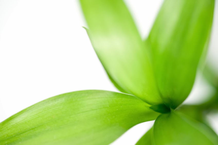 Daniele Massie - Moving To Change Psychotherapy | St Clair Ave E, Toronto, ON M4T 2A7, Canada | Phone: (647) 931-1398
