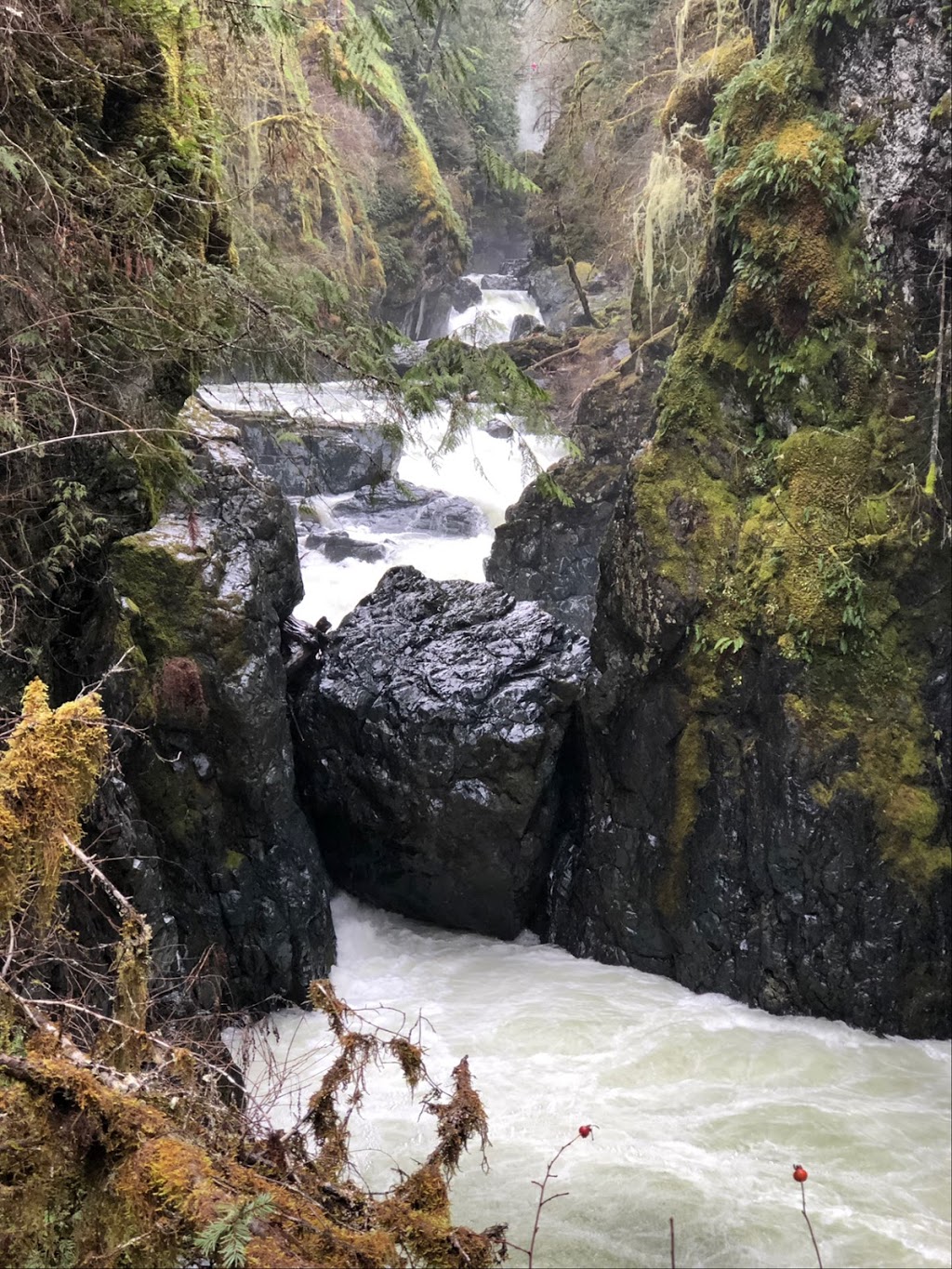 Englishman River Falls (Upper Falls) | Nanaimo F, BC V0R, Canada | Phone: (250) 474-1336