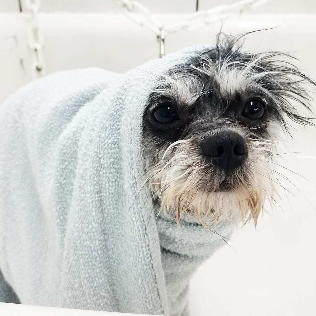 Poochies Paradise Spa | 2713 Bur Oak Ave Unit 2, Markham, ON L6B 1K7, Canada | Phone: (905) 910-1022