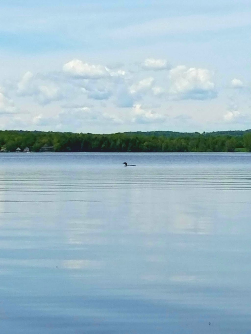 Lake Salem Inn | 1273 VT-105, Derby, VT 05829, USA | Phone: (802) 766-5560