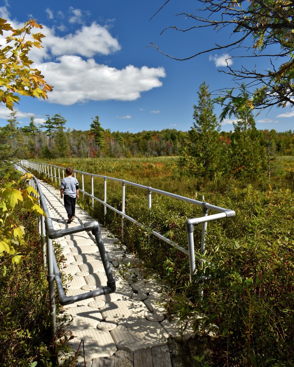 Schmidt Lake Lookout Trail | Schmidt Lake Lookout Trail, Cargill, ON N0G 1J0, Canada | Phone: (519) 367-3040